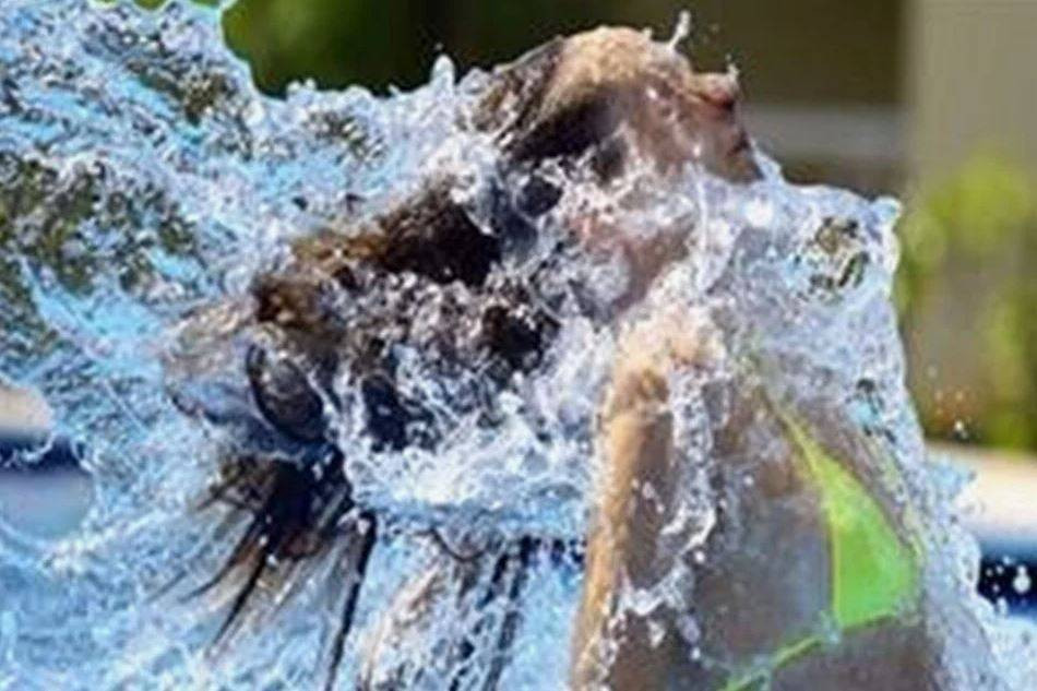 Serinlemek isterken sağlığınızdan olmayın! Sağırlığa kadar ilerliyor - Resim: 21